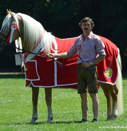 A man in traditional attire stands next to a blonde horse wearing a red and white blanket, holding its bridle, on a sunny day in a grassy area.