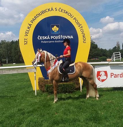 A rider in a red shirt sits on a brown horse in front of a large yellow and blue sign at an outdoor event, with green grass and clouds in the background.