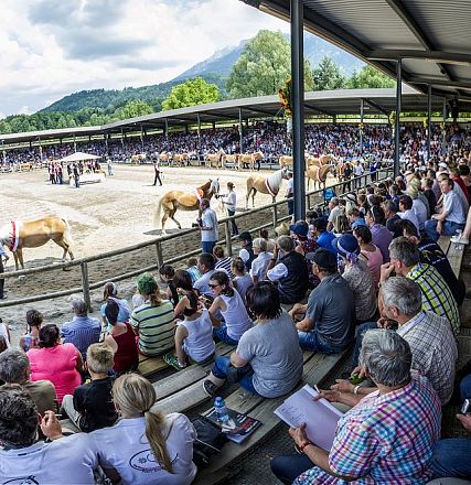 Haflinger Weltausstellung © Christian Kapfinger