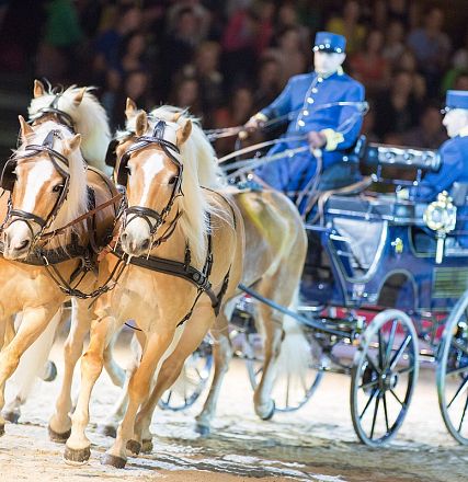 Zwei kräftige Pferde ziehen eine elegant geschmückte Kutsche, gesteuert von zwei Personen in blauen Uniformen, in einer hell erleuchteten Arena.