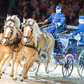 Qu Messe Wels © Phillip Resch