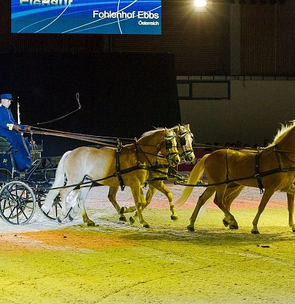 Zwei Pferde ziehen eine Kutsche mit zwei Personen in blauer Uniform, bei einer Indoor-Veranstaltung. Der Boden ist sandfarben beleuchtet.