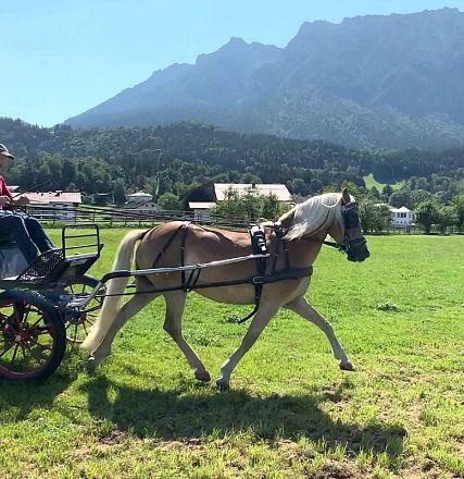 Pferdekutsche bei sonnigem Wetter auf einer grünen Wiese, im Hintergrund majestätische Berge und vereinzelte Häuser. Zwei Personen genießen die Fahrt.