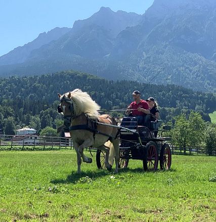 Eine Pferdekutsche mit zwei Personen fährt über eine grüne Wiese. Im Hintergrund sind bewaldete Berge und ein klarer blauer Himmel zu sehen.