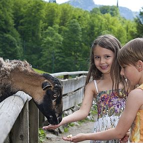 Zwei Kinder füttern ein Schaf an einem Holzzaun in einer grünen, bewaldeten Umgebung. Das Mädchen und der Junge wirken glücklich und neugierig.