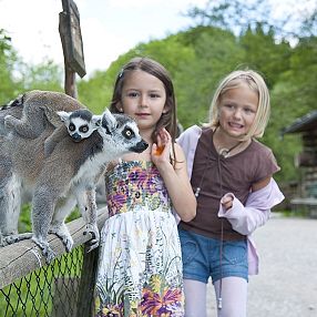 Zwei Kinder stehen neben einem Lemur mit zwei Jungtieren auf einem Holzzaun in einem grünen Park oder Zoo. Die Kinder lächeln und wirken glücklich.