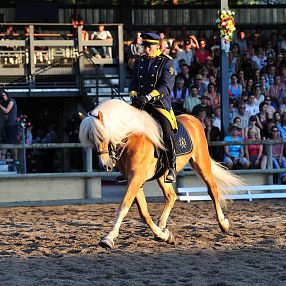 Cavaliere in uniforme blu su un cavallo bianco, in una competizione di dressage davanti a una folla di spettatori, con una tribuna illuminata sullo sfondo.