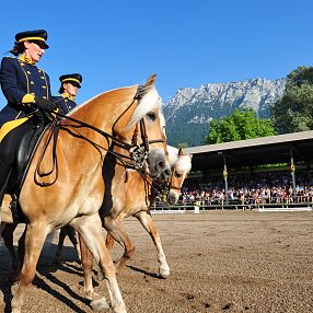 Programma dello spettacolo quadriglia di dressage Fohlenhof Ebbs Fotografo Christian Kapfinger