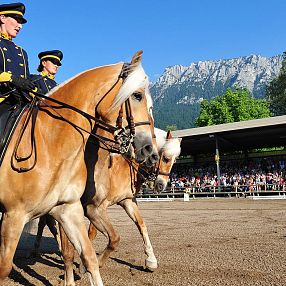 Spettacolo di cavalli con cavalieri in uniforme blu e gialla, in un'arena all'aperto circondata da spettatori e montagne sullo sfondo.