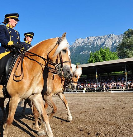 Zwei Reiter in Uniformen auf Haflingerpferden während einer Show im Freien, mit Bergen im Hintergrund und Zuschauern auf Tribünen bei sonnigem Wetter.