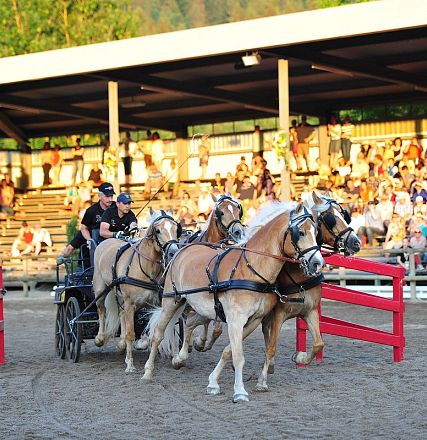 Pferderennen mit vier Pferden, die einen Karren ziehen. Im Hintergrund sitzt eine Menschenmenge auf Tribünen und beobachtet das Geschehen in einer Arena.