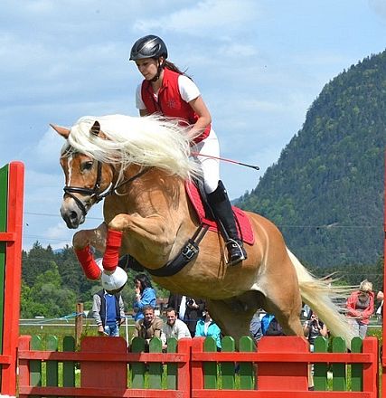 Eine Person reitet ein springendes Pferd über ein rotes Hindernis auf einer grünen Wiese, mit Bergen und Bäumen im Hintergrund. Zuschauer beobachten das Event.