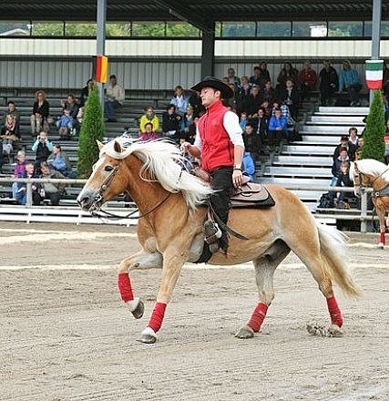 Zwei Reiter in traditioneller Kleidung führen Kunststücke auf Haflingerpferden in einer Arena vor. Zuschauer auf Tribünen beobachten die Aufführung.