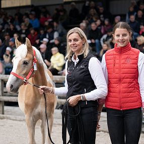 Zwei Frauen präsentieren ein Palomino-Fohlen bei einer Veranstaltung im Freien. Hinter ihnen sitzt ein Publikum auf Tribünen, das interessiert zuschaut.