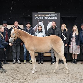 Eine Gruppe von Menschen posiert mit einem Haflinger-Pferd vor einem schwarzen Hintergrund und einem Poster, das "Haflinger Welt Ausstellung" zeigt. Pflanzen schmücken die Szene.