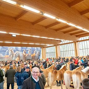 Eine große Gruppe von Menschen und Pferden in einer geräumigen, gut beleuchteten Halle. Der Raum hat holzverkleidete Wände und eine große Wandmalerei von Pferden.