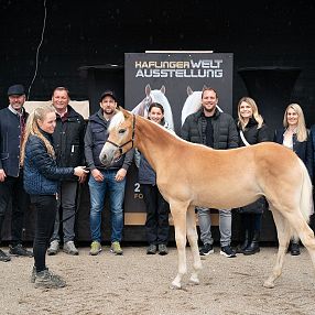 Vor einem Haflinger-Pferd stehen mehrere Personen lächelnd für ein Gruppenfoto auf einer Ausstellung, umgeben von Blumen und einem Werbebanner.