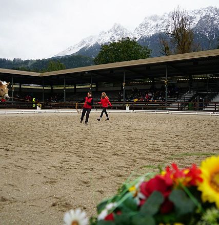 Reiterhof-Training mit einem Pferd in einer ovalen Arena, umgeben von schneebedeckten Bergen. Zuschauer sitzen unter einem überdachten Bereich.