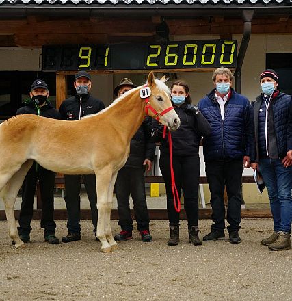 Eine Gruppe von Menschen steht um ein hellbraunes Pferd mit heller Mähne. Alle tragen Masken. Im Hintergrund ist eine digitale Tafel mit Zahlen sichtbar.