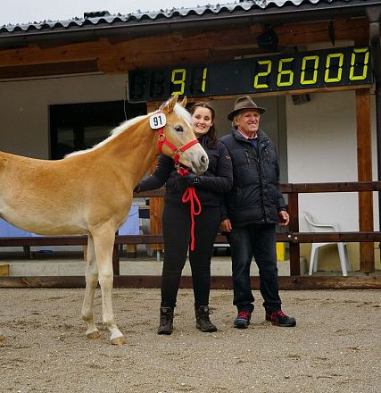 Ein blondes Fohlen mit Halfter steht neben zwei lächelnden Personen vor einem Gebäude. Eine elektronische Anzeige im Hintergrund zeigt "91 26000" an.