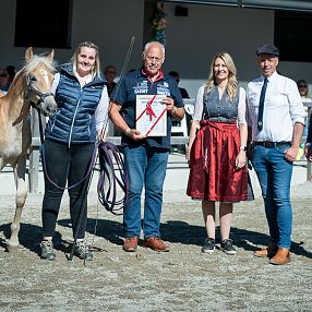 Stutfohlenauktion Fohlenhof Ebbs 2026