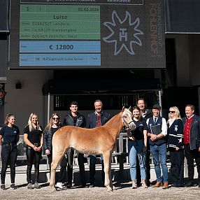 Stutfohlenauktion Fohlenhof Ebbs 2026