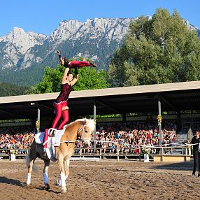 Volteggio - Squadra di volteggio Haflinger Show Fohlenhof Ebbs Fotografo: Christian Kapfinger