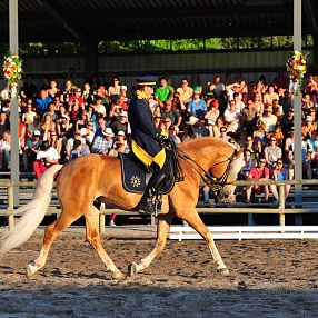 Lo stallone campione del mondo Amerigo Mostra mondiale di dressage individuale 2015 Fohlenhof Ebbs Fotografo Christian Kapfinger