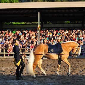 Lo stallone Stainz, campione del mondo, su una lunga redine Programma espositivo Fohlenhof Ebbs Fotografo Christian Kapfinger