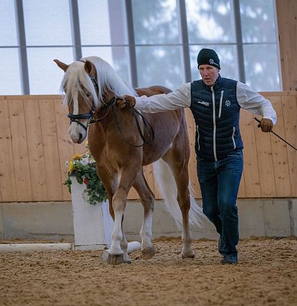 Ein Pferd wird von einem Trainer in einer Reithalle im Kreis geführt. Im Hintergrund sind Fenster und ein weiterer Zuschauer zu sehen.