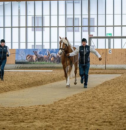 Zwei Personen führen ein Pferd in einer Reithalle. Sie tragen Winterkleidung und gehen auf einem Sandboden entlang, während sie das Tier im Zaum halten.