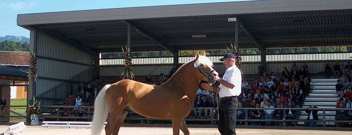 Ein Mann führt ein braunes Pferd mit heller Mähne in einer Halle. Im Hintergrund sitzen Zuschauer, die das Geschehen beobachten. Es ist ein sonniger Tag.