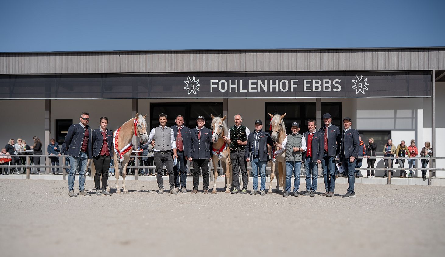 Elitestutenmusterung Haflinger Tirol Fohlenhof Ebbs