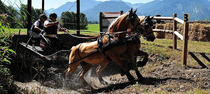 Pferde ziehen mit Kraft eine Kutsche durch ein schlammiges Gelände. Zwei Personen lenken. Im Hintergrund sind Berge zu sehen, die eine schöne Kulisse bilden.