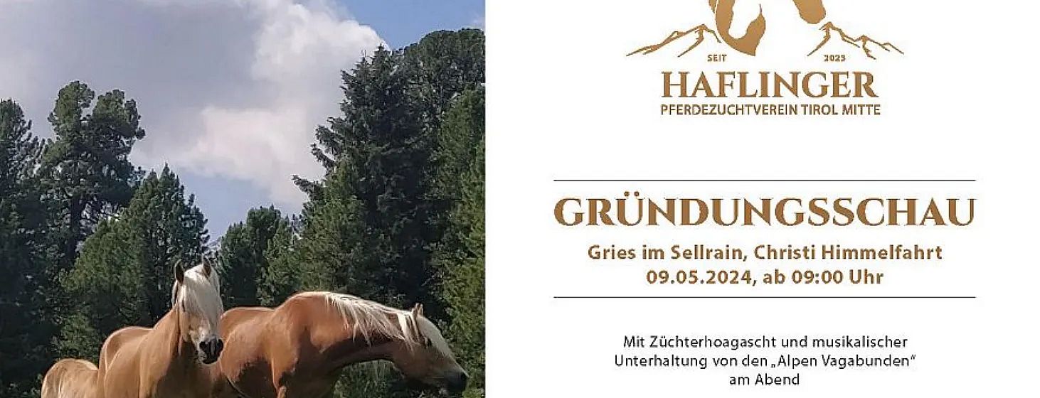 Cavallo haflinger al pascolo vicino a un bosco, locandina di un evento del club di allevamento di cavalli di razza Haflinger in giugno 2024.