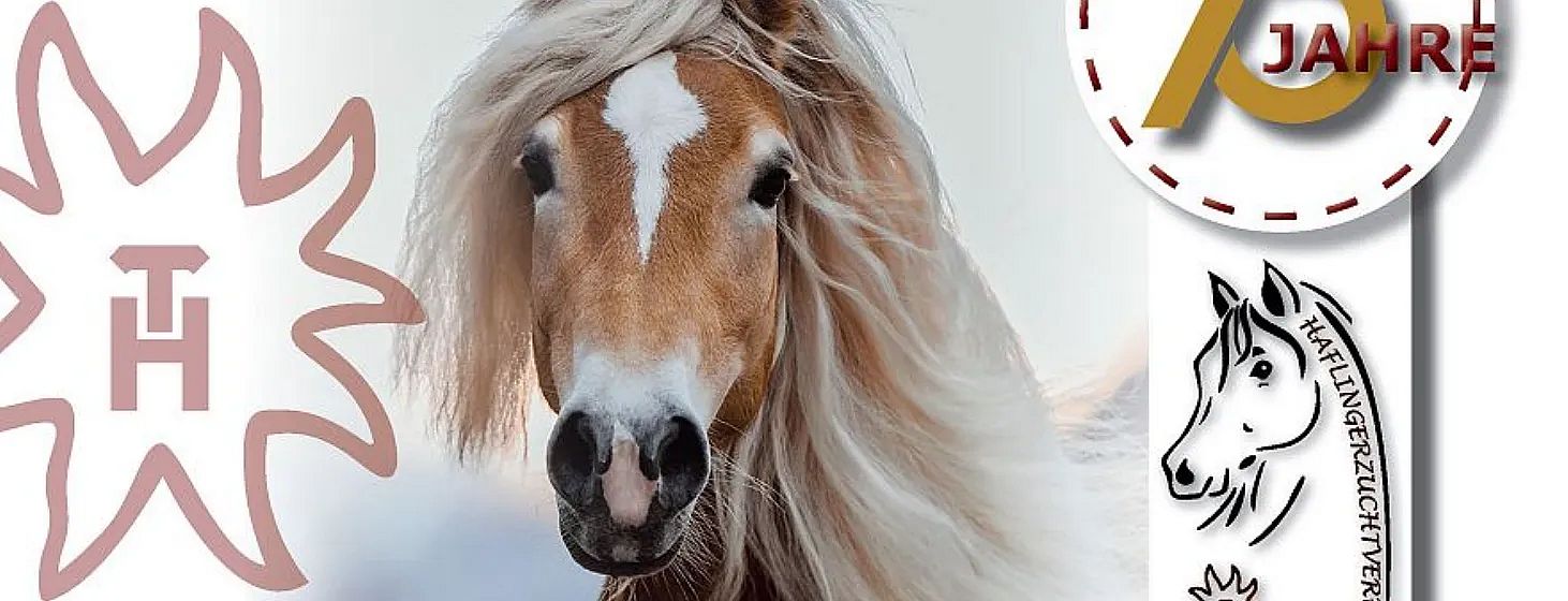 Cavallo dal manto chiaro con criniera lunga al vento, sfondo sfocato. Immagine artistica con disegni stilizzati di cavalli ai lati.