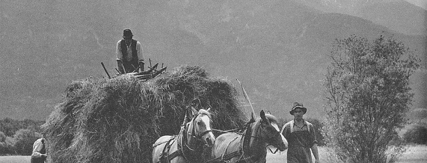 Zwei Männer in traditioneller Kleidung transportieren Heu auf einem von zwei Pferden gezogenen Karren durch eine ländliche Gegend.