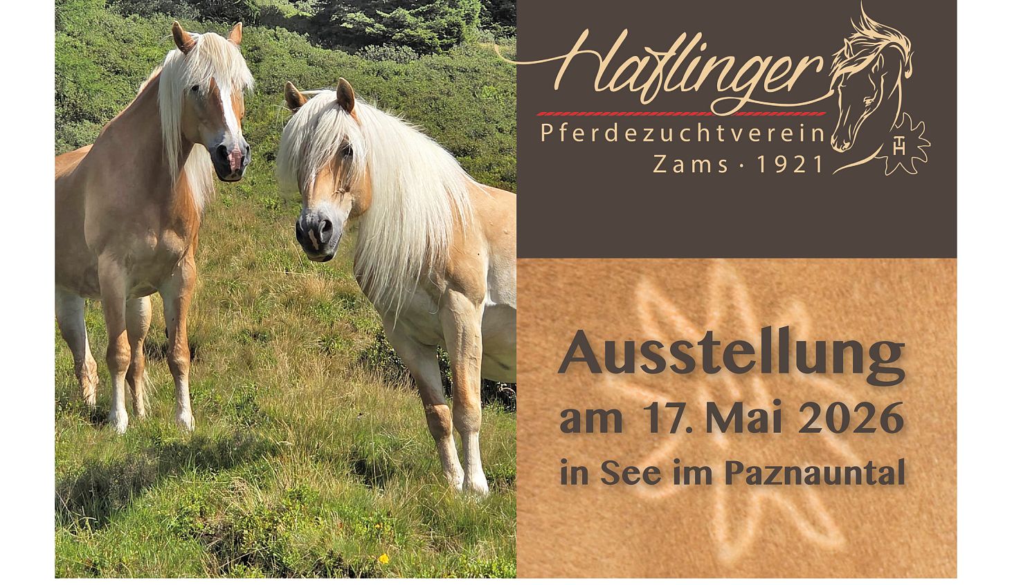 Jubiläumsausstellung Haflinger Pferdezuchtverein Zams
