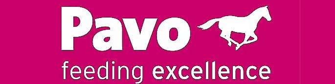 Logo rosa con testo in bianco "Bravo leading excellence" e un'immagine stilizzata di un cavallo sulla destra.