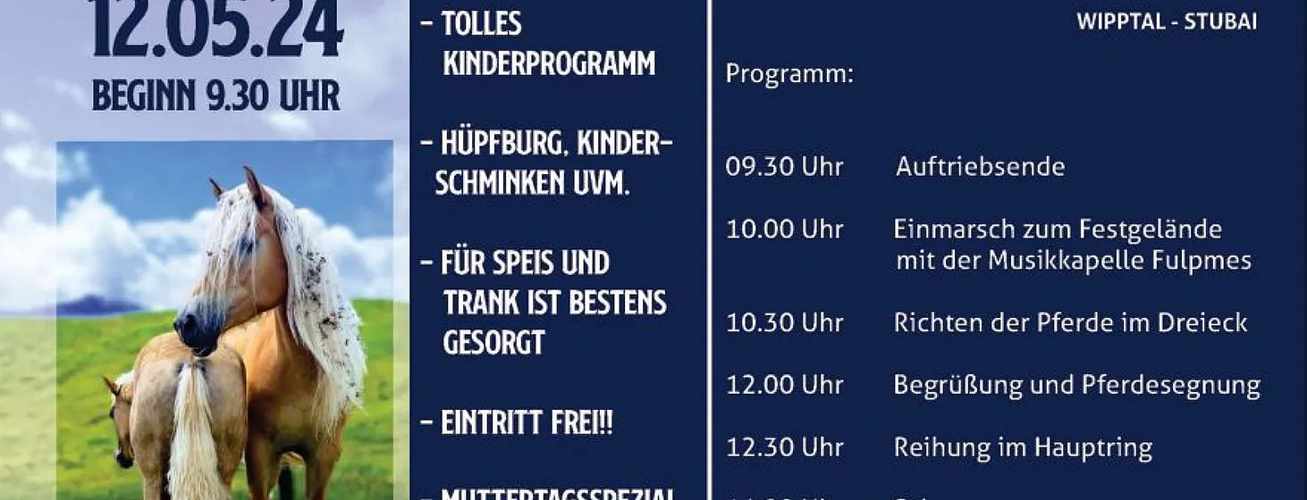 Volantino di un evento con un programma di attività, inclusi giochi per bambini e musica, con orari dettagliati. L'ingresso è gratuito.