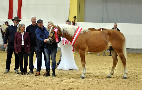 2026-hlp-haflinger-siegerehrung-waldkoenig-8-2