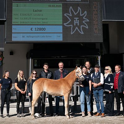 cdn-neu-dressur-fohlenhof-ebbs-juni-2026-anita-baumgartner-7-2-1