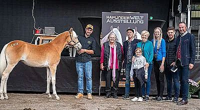 Eine Gruppe von Menschen steht vor einem Haflinger-Pferd bei einer "Haflinger Welt Ausstellung". Sie lächeln in die Kamera, während das Pferd ruhig dasteht.