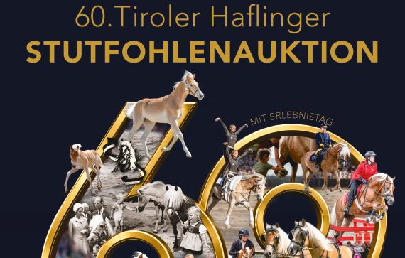 druck-60-jahre-stutfohlenauktion-2