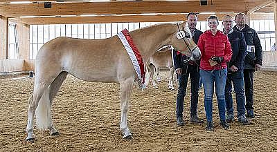 Ein hellbraunes Pferd mit einer Siegerdecke steht in einer Reithalle. Vier Personen in Freizeitkleidung stehen daneben und lächeln in die Kamera.