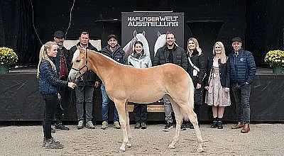 Eine Gruppe von Menschen posiert mit einem hellbraunen Pferd vor einem Banner mit der Aufschrift "Haflinger Welt Ausstellung". Alle lächeln in die Kamera.