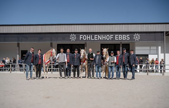 elitestutenmusterung-2025-hafinger-tirol-fohlenhof-ebbs-2