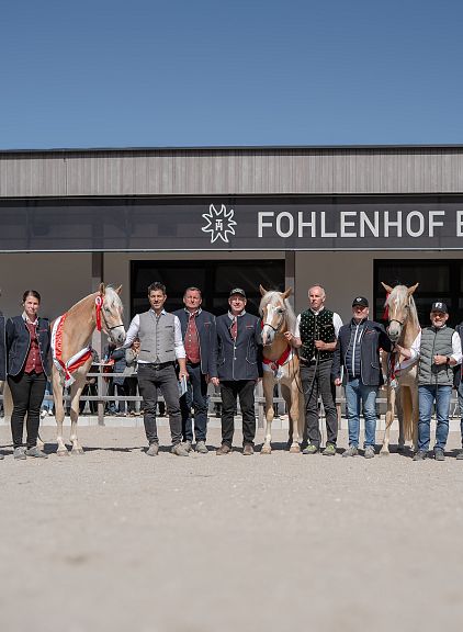 elitestutenmusterung-2025-hafinger-tirol-fohlenhof-ebbs-3