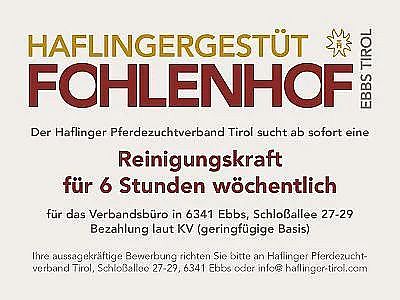 Werbung des Haflingergestüts Fohlenhof in Ebbs sucht eine Reinigungskraft für 6 Stunden wöchentlich. Details und Bewerbungsadresse sind angegeben.