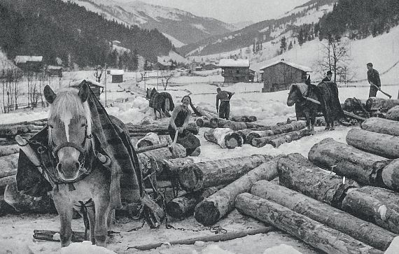 Ein Haflinger-Pferd steht im verschneiten Tal. Menschen im Hintergrund beschäftigen sich mit Holzstämmen. Holzhütten und Berge sind in der Ferne zu sehen.